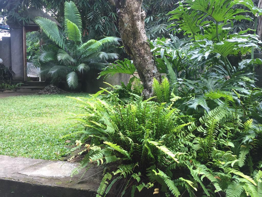 מלון Kiyan Teges Ubud מראה חיצוני תמונה